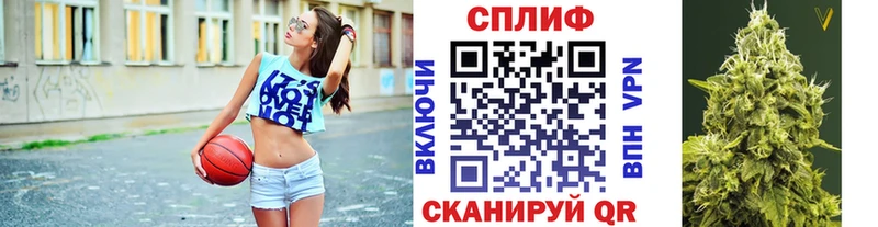 Купить закладку A-PVP  Псилоцибиновые грибы  ГАШ  КОКАИН  Меф мяу мяу  Николаевск-на-Амуре