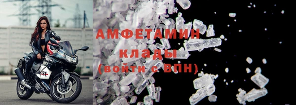 крисы Елабуга