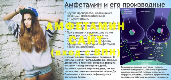 крисы Елабуга
