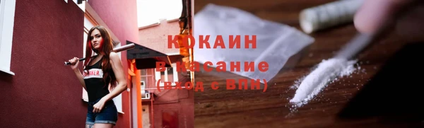 крисы Елабуга