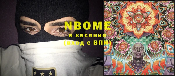 крисы Елабуга