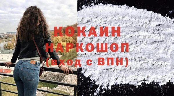 крисы Елабуга